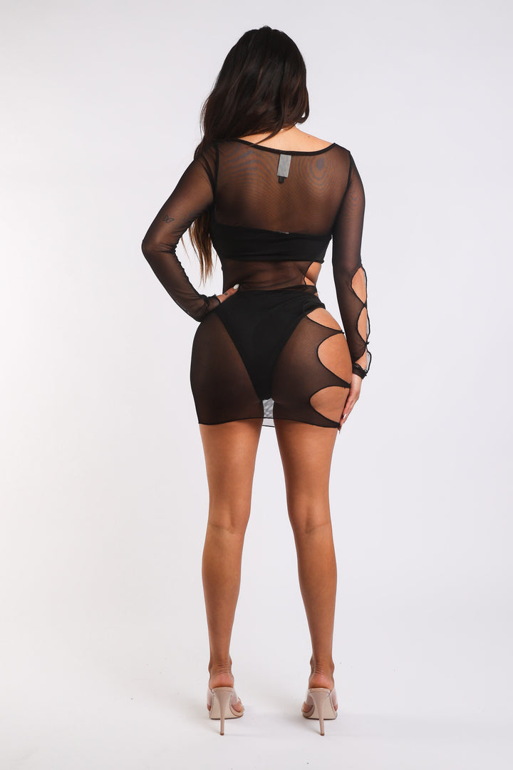 Sexy Cut Out Detailed Long Sleeve Mesh Sheer Dress BLACK - Bagzio